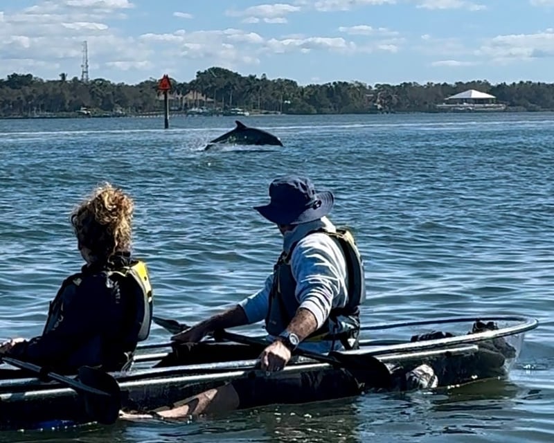 Clear Kayak Eco Tour to Jim Neville Marine Preserve