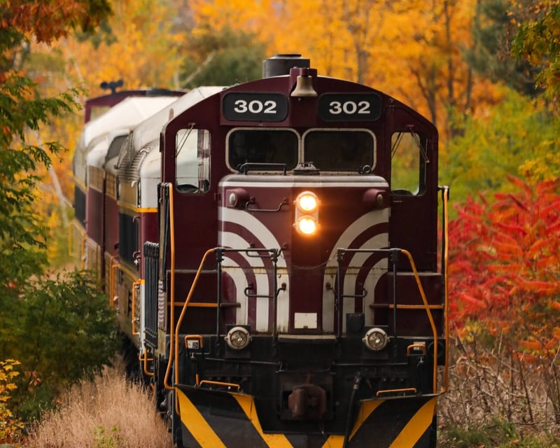 Fall Foliage Train Ride in Meredith