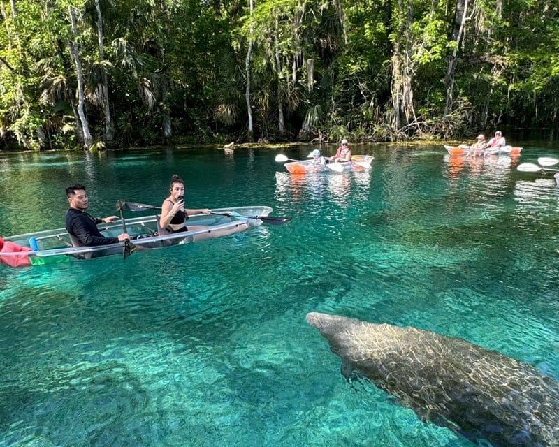 Guided Clear Kayak Tour at Silver Springs State Park