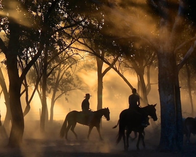 Sunset Horseback Ride at Lake Louisa State Park