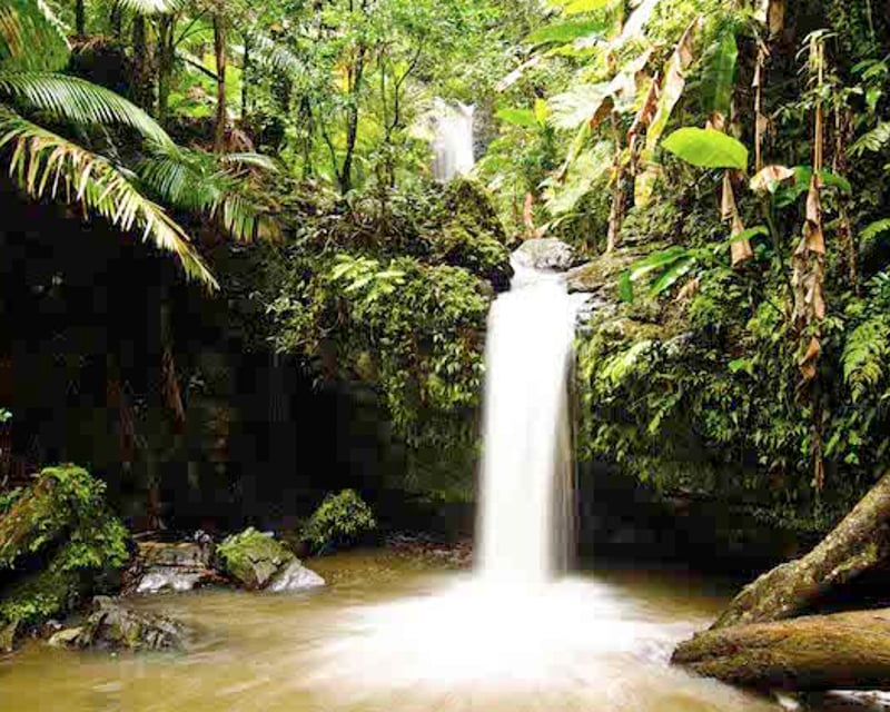 Private El Yunque Rainforest Hike & Natural Waterslides