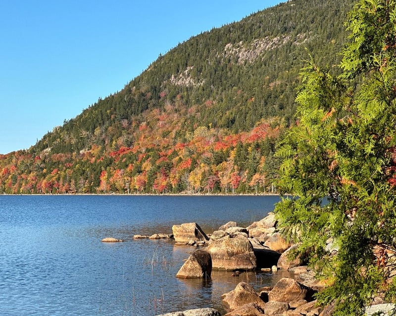 Full-Day Private Guided Tour to Bar Harbor & Acadia