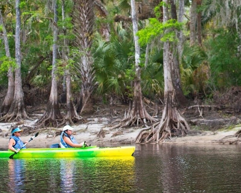 2-Hour Paddle Rental on Fisheating Creek