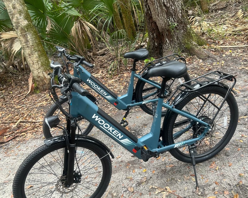 Blue Spring State Park E-Bike Rental