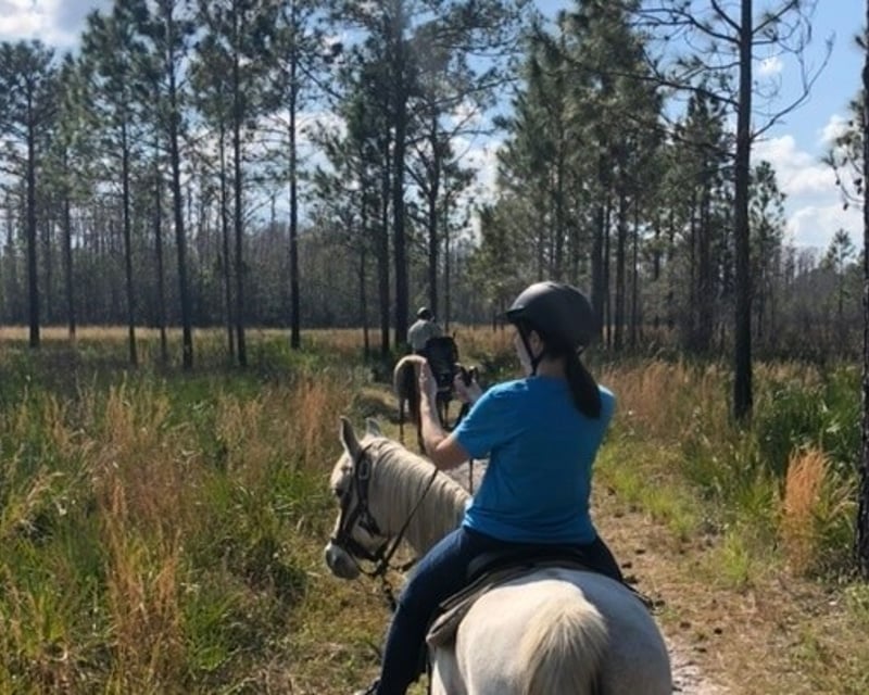 Lake Louisa State Park Horseback Trail Ride