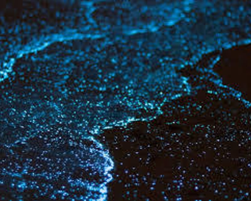 Parguera Bioluminescent Bay Swimming Tour
