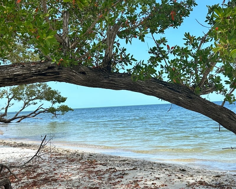 Private Ten Thousand Islands Beach Day Cruise from Naples