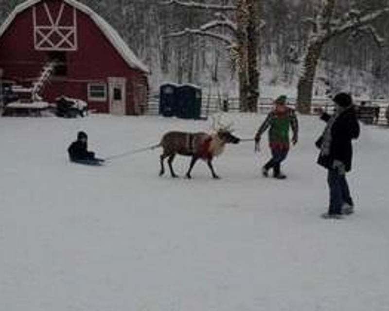 Christmas Reindeer Farm Visit with Santa in Palmer, Alaska
