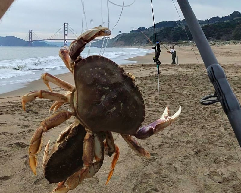 Self-Guided Crabbing Rod & Reel Rental in San Francisco