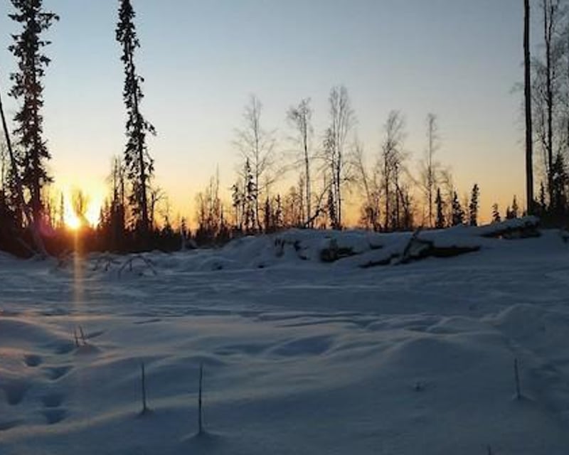 Night Snowshoe Tour by Headlamp in Fairbanks