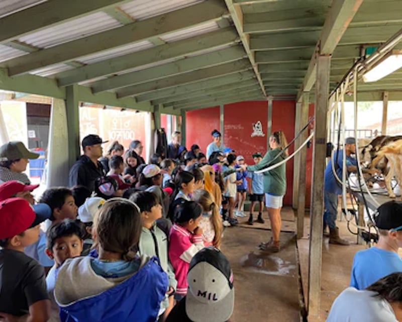 Evening Goat Milking & Dairy Farm Tour in Kula, Maui