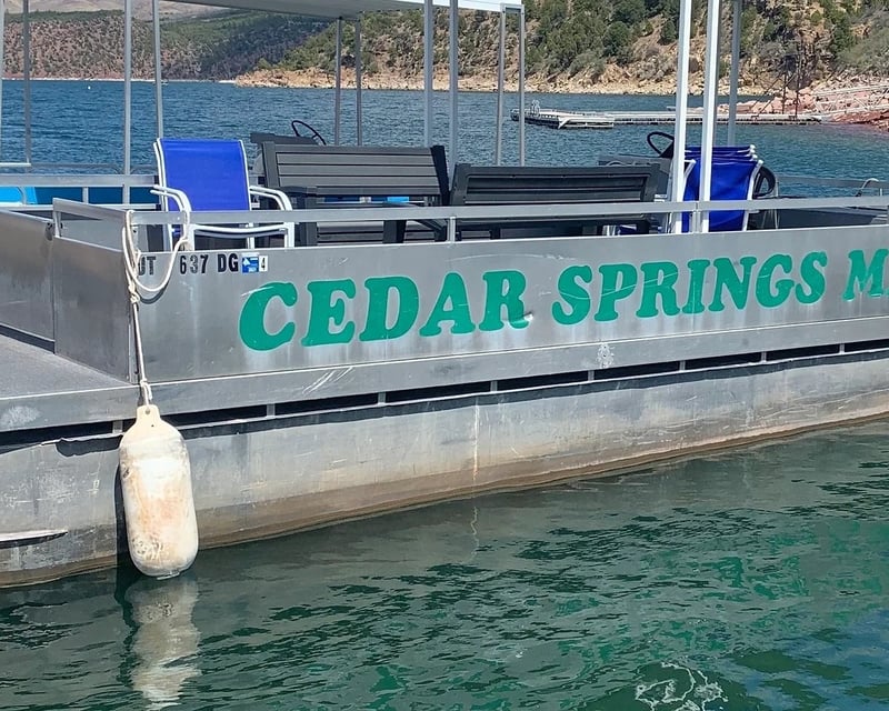 25' Party Barge Rental in Dutch John