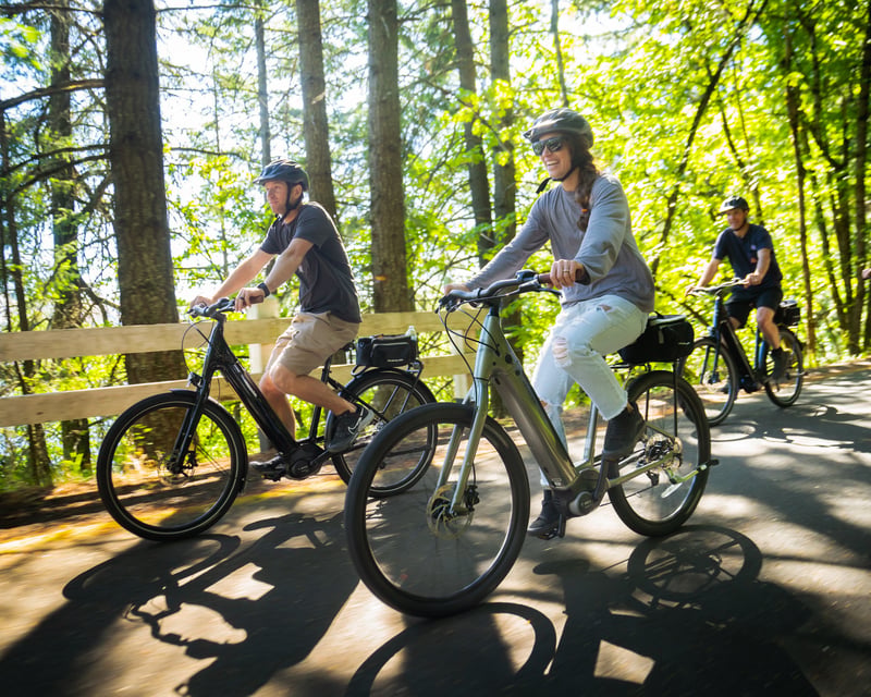 Hood River Self-Guided E-Bike Tour to Mosier Twin Tunnels