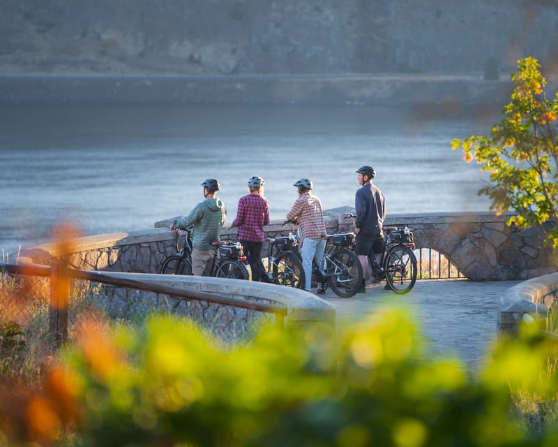 Hood River E-Bike Rental with Vineyard Routes