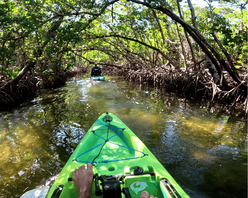 Emerson Point Preserve Pedal Kayak Tour