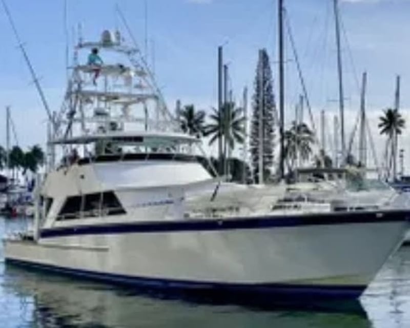 4-Hour Whale Watch Cruise From South Shore Oahu