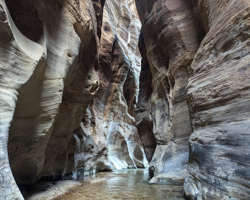 Guided Zion Narrows Hike in Zion National Park