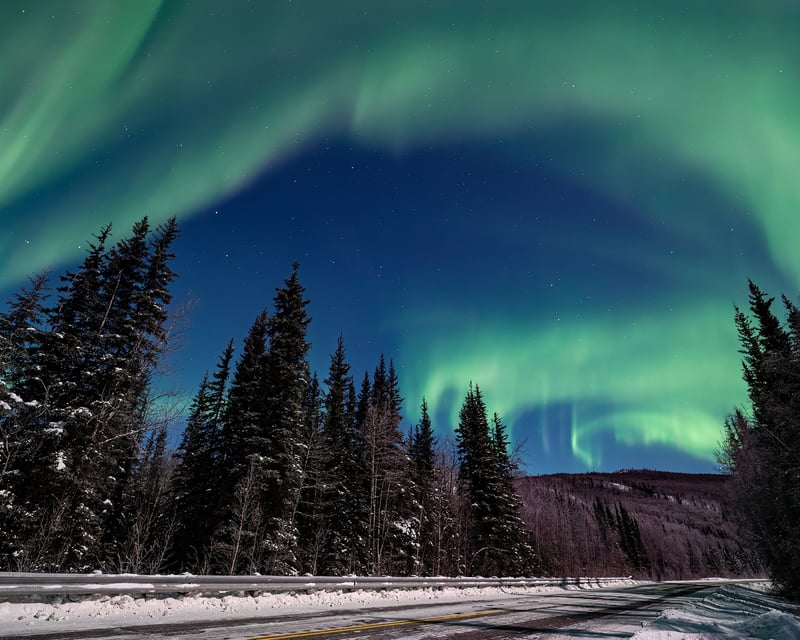 Chena Hot Springs & Northern Lights Chase from Fairbanks