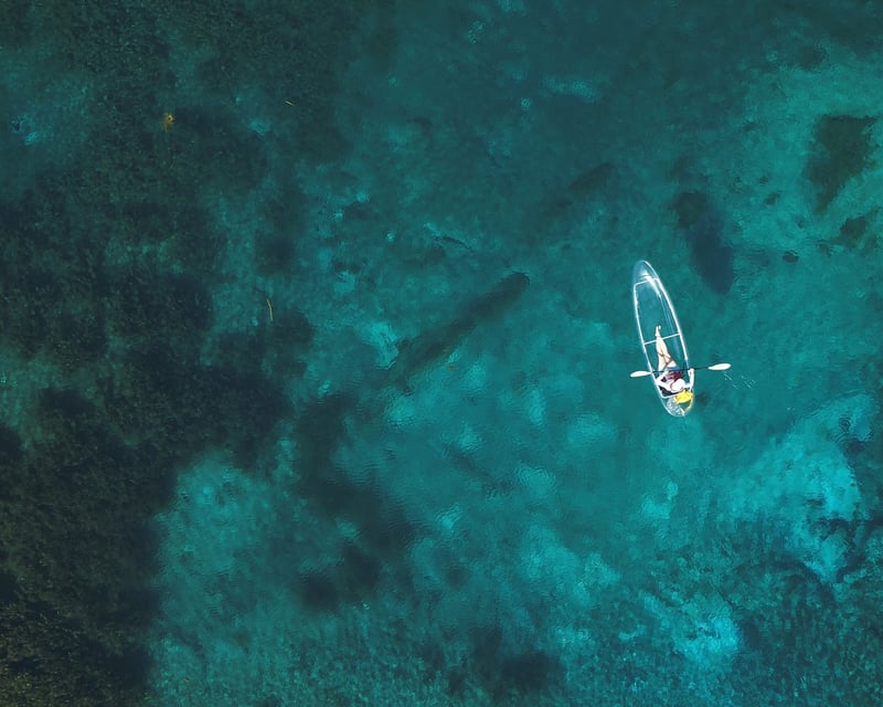 Guided Clear Kayak Tour in Silver Springs State Park