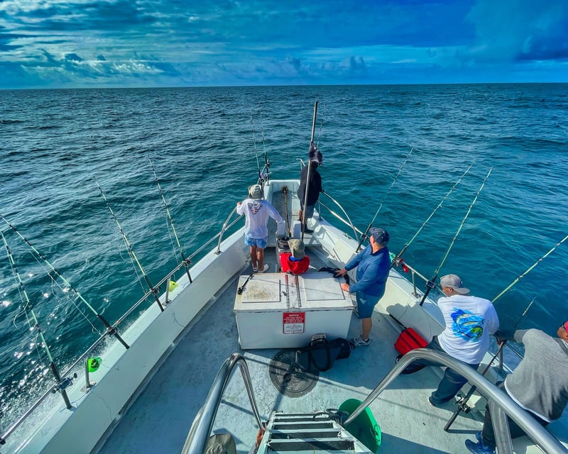 Private Inshore Fishing Charter for Snook, Redfish & Tarpon
