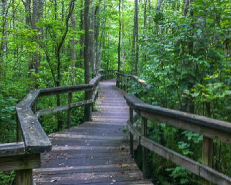 Pocomoke City Haunted Forest Ghost Tour