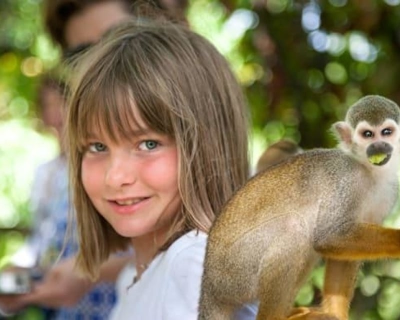 Monkeyland & Coffee Plantation Tour from Punta Cana