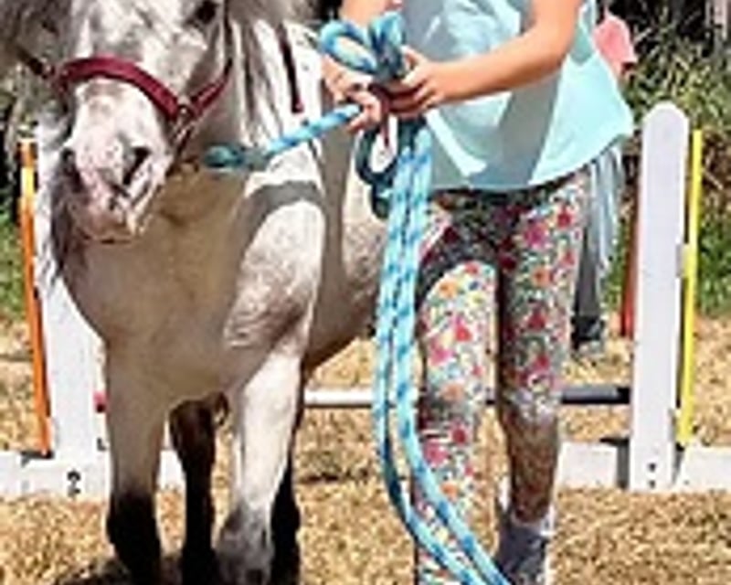 Hand-Led Pony Rides for Kids in Renton