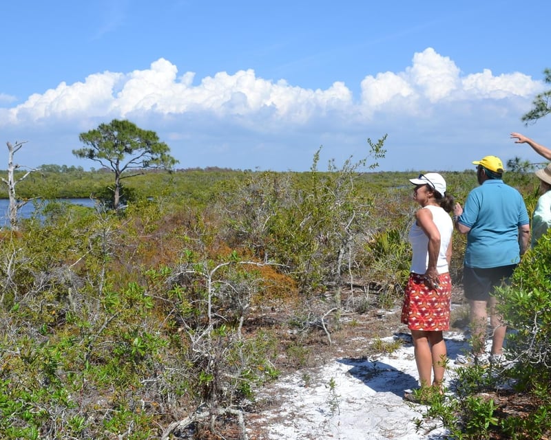 Naturalist-Guided Sand Hill Cruise & Hike in Naples