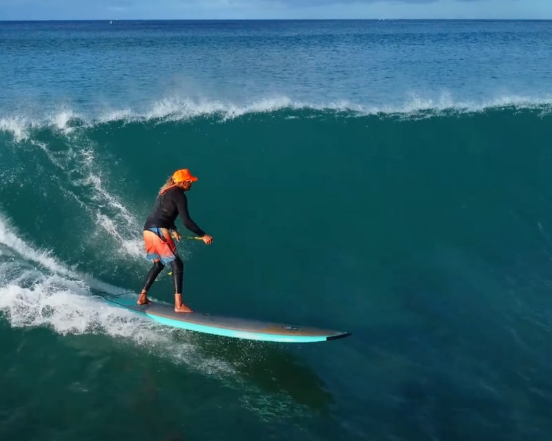 Private Stand Up Paddle Surf & Flatwater Lesson in Honolulu