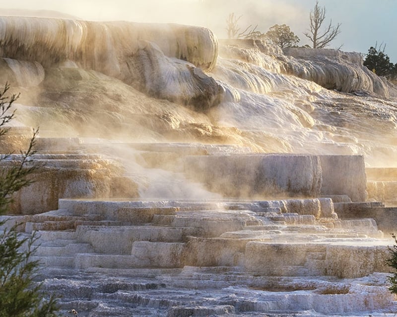 Yellowstone Upper Loop Guided Tour