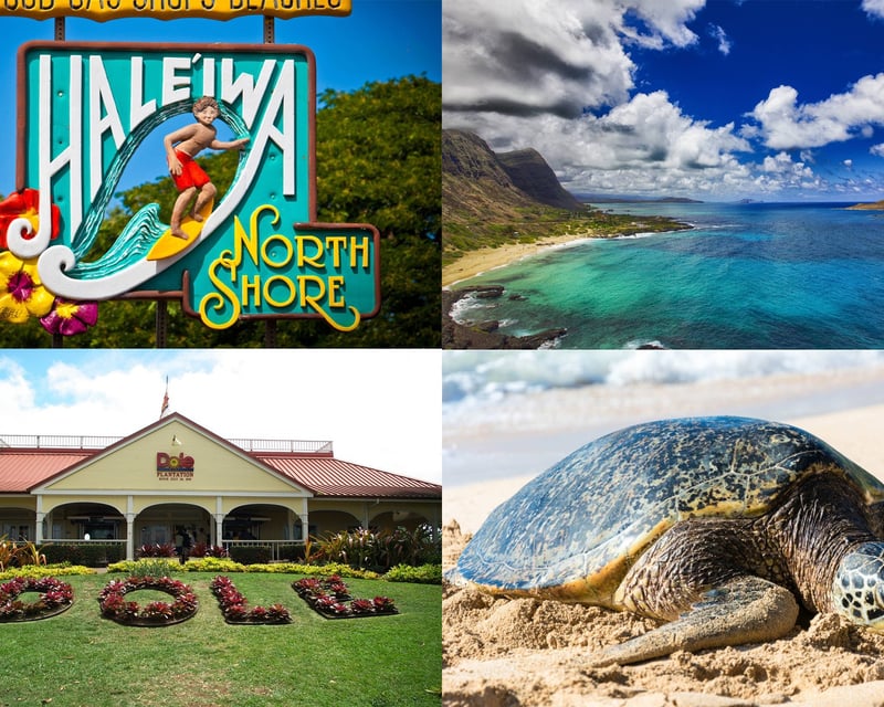 Circle Island Tour from Waikiki with North Shore Snorkeling