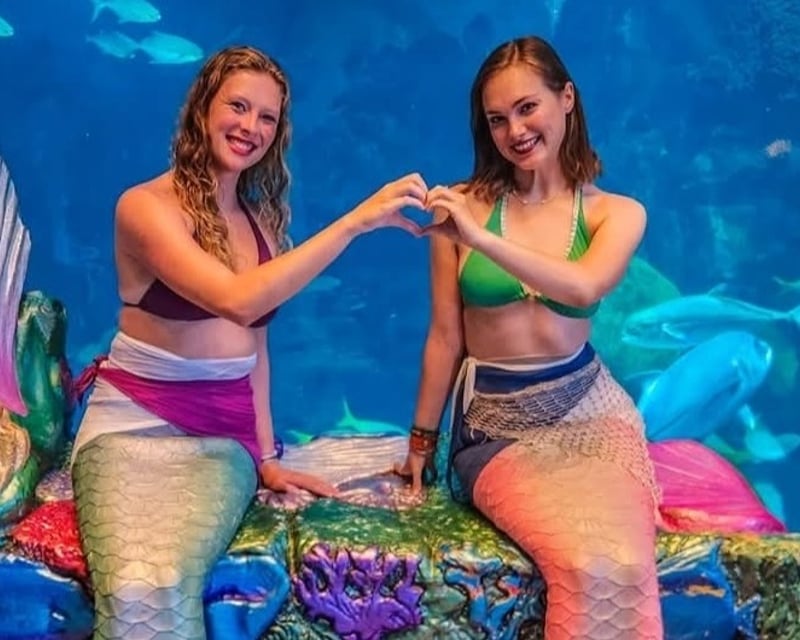Private Mermaid Meet & Greet at Downtown Aquarium Denver