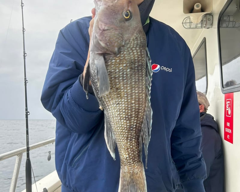 8-Hour Seabass Fishing Trip