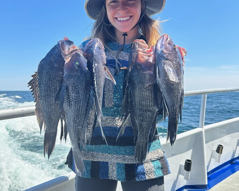 3/4-Day Striper & Sea Bass Fishing in Point Pleasant Beach