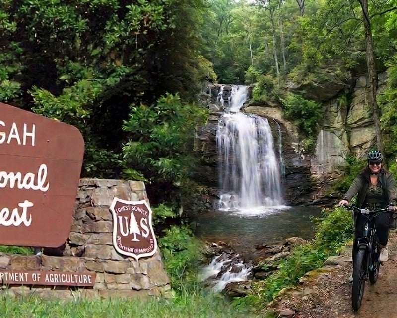 Self-Guided Cherokee Waterfall E-Bike Tour in Brevard