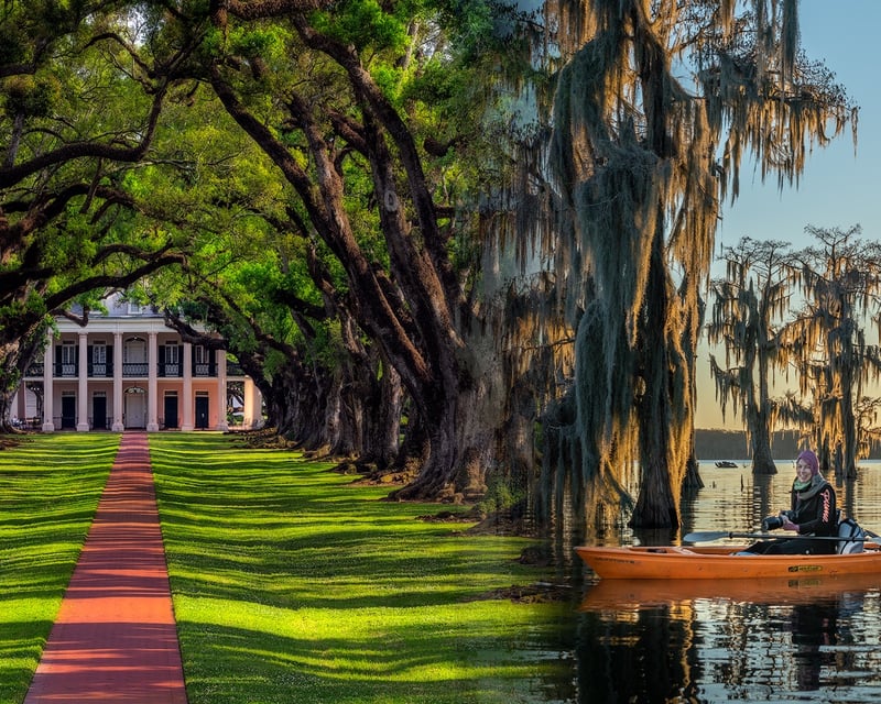 Half-Day Manchac Swamp Kayak Tour From New Orleans