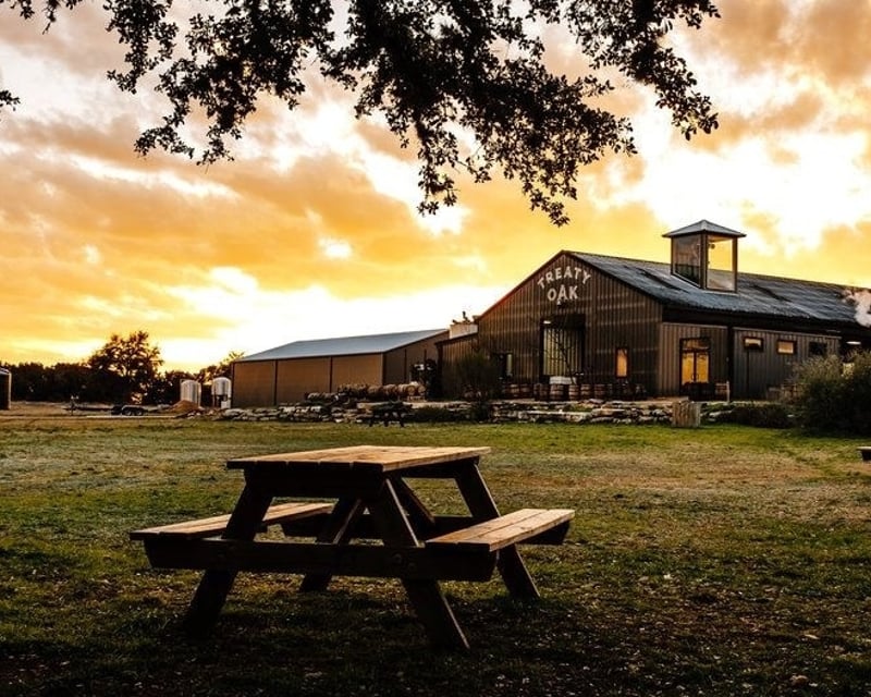 Texas Hill Country Winery & Brewery Party Bus from Austin
