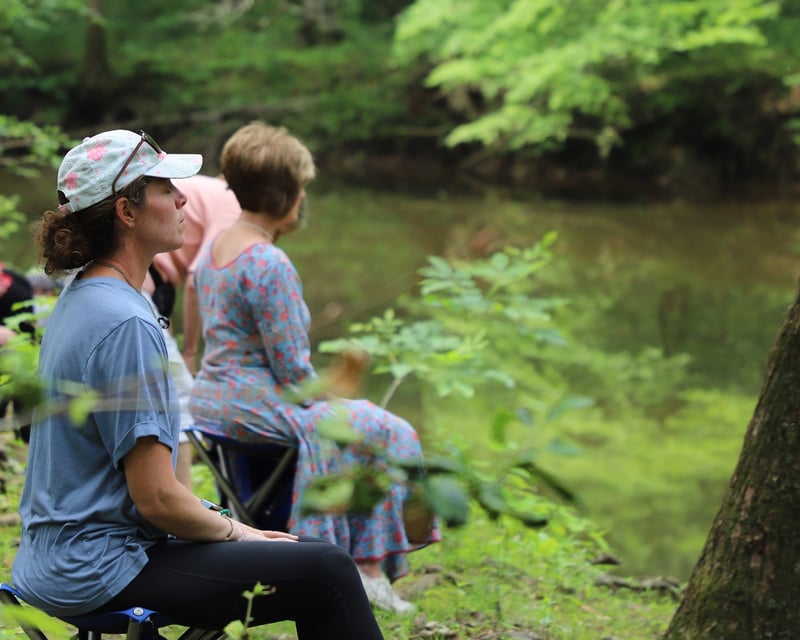 Forest Bathing Walk in New Hope