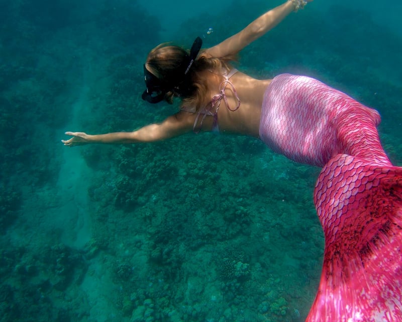 Mermaid Snorkel Guided Tour in West Palm Beach
