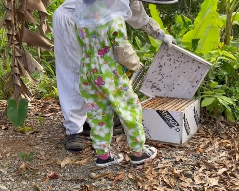 Agunda Beekeeping Education Session