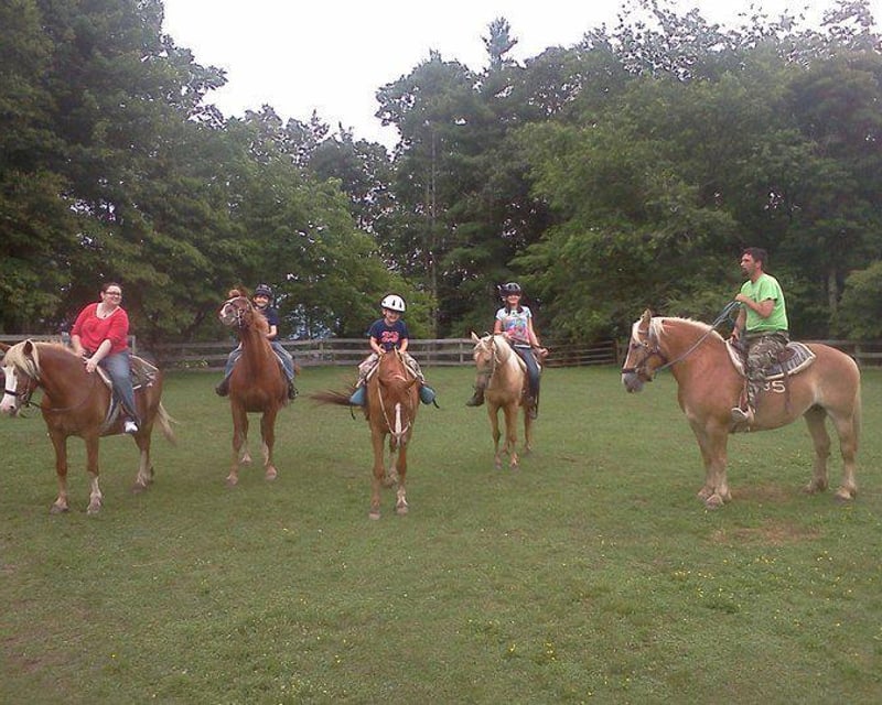 Azalea & Fern Forest Horseback Ride Near Lake Glenville