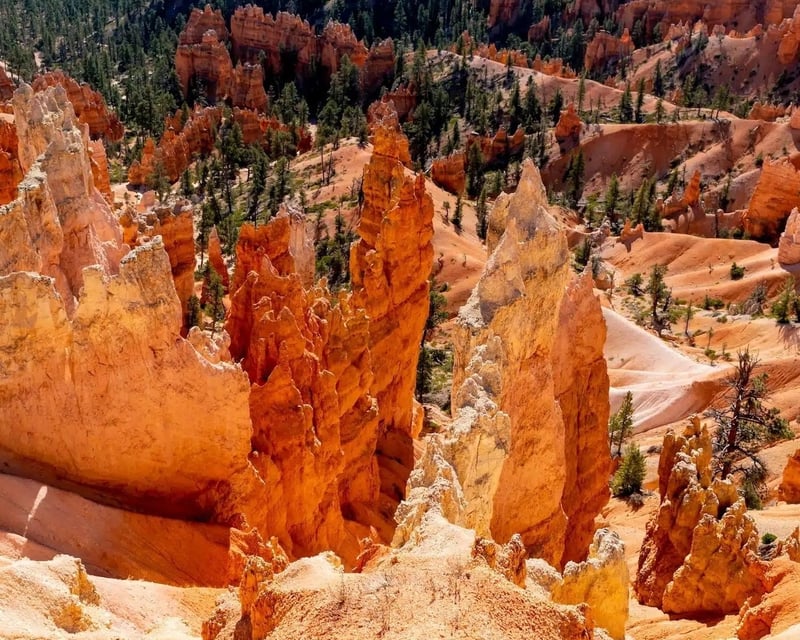 Bryce Canyon Full-Day Private Guided Hike