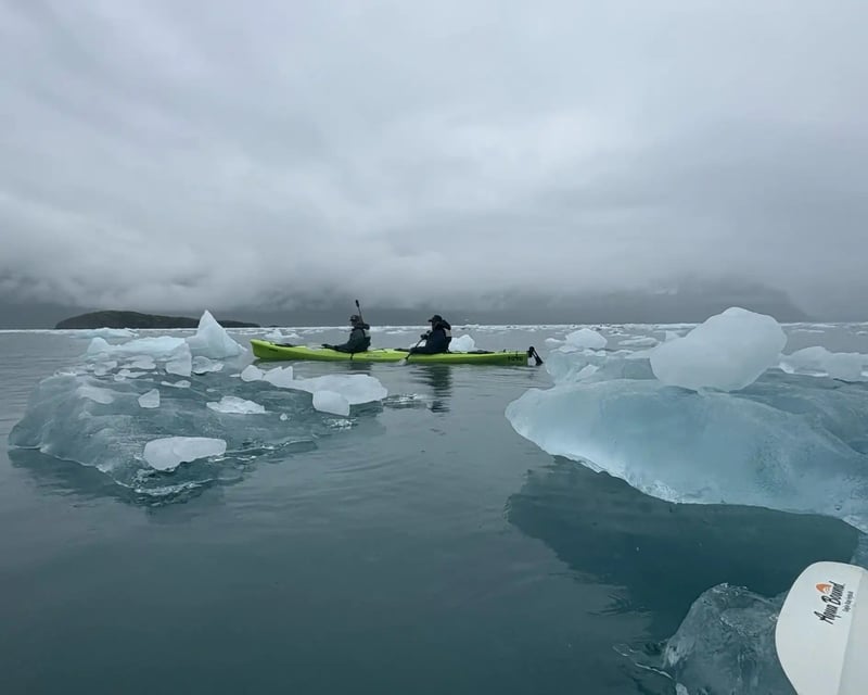 Guided Kayaking Tour of Kenai Fjords National Park