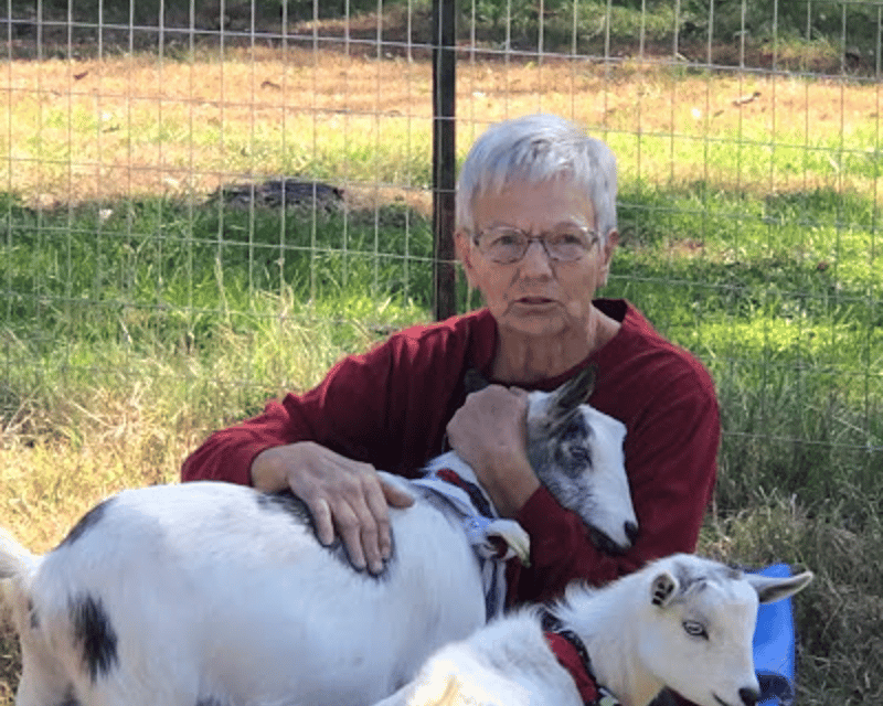 Miniature Goat Therapy on a Farm in Atchison, KS