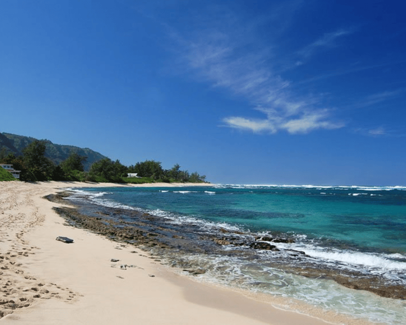 Half-Day North Shore Oahu Tour to Pipeline & Sunset Beach