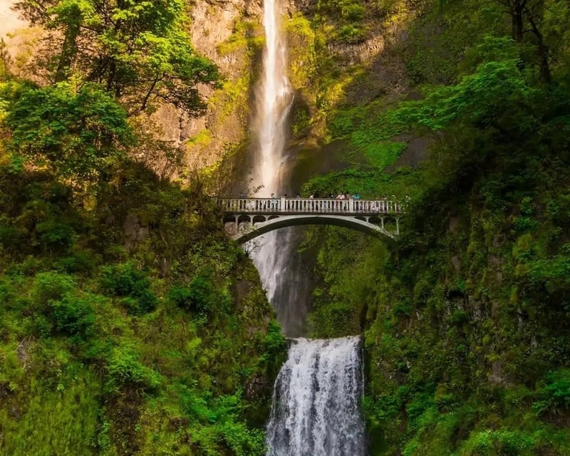 Full-Day Guided Hike in Columbia River Gorge