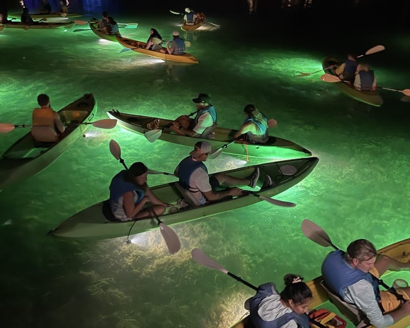 Guided LED Glass-Bottom Kayak Night Tour, Clearwater Beach