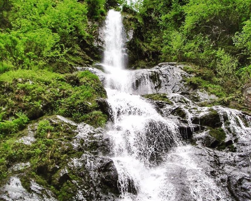 Guided Bridal Veil Falls Kayak Tour in Seward