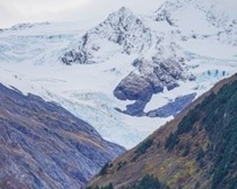 Addon image