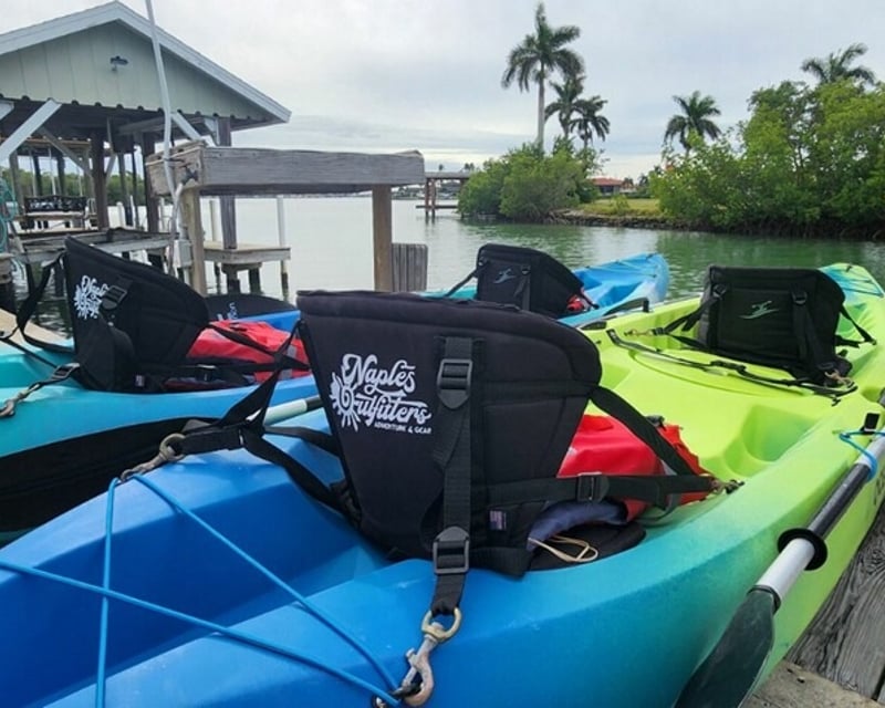 Full-Day Kayak & Paddleboard Rental with Delivery in Naples